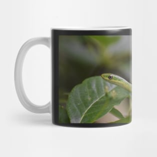 Green Snake Mug